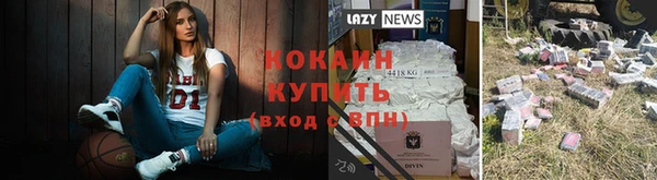 мет Пересвет