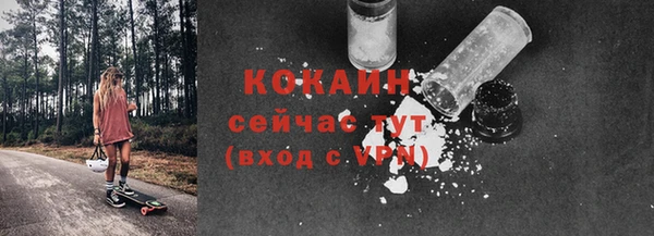 мет Пересвет